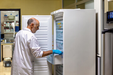 Scientist checking contents of refrigerator in laboratory