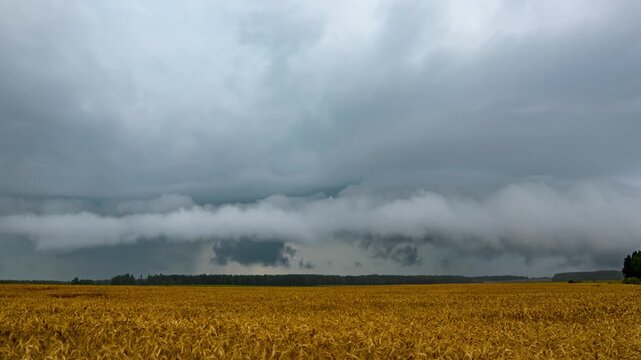 Weather 4K. A Huge Dark Shelf Cloud Drifts Across the Great Plains. World Meteorological Day, Rain Day, International Sky Day, Cloud Appreciation Day Lithuania