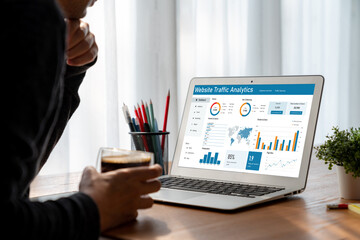 Computer software for website traffic analytics data on computer screen. Concept of SEO search...