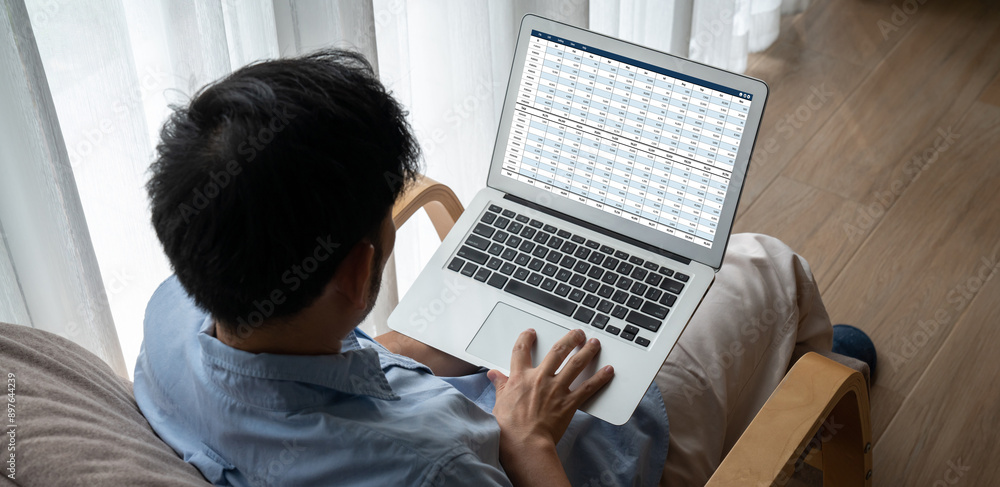 Poster accounting software on computer screen showing financial statement spreadsheets and account balance 