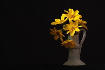 Yellow flowers in vase on black background; bidens or ozark tickseed sunflowers; Bidens Ferulifolia