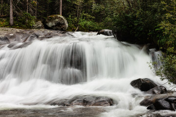 Copeland Falls on the St. Vrain Creek, within Wild Basin, Rocky Mountain National Park, Colorado  (camera hand-held, heavy overcast which became heavy rain)