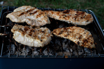 rustic, grill, healthy eating, roasted, barbecue, bbq, cooked, food and drink, gourmet, pork, heat - temperature, party, cookout, fillet, freshness, grilling, ready-to-eat, close-up