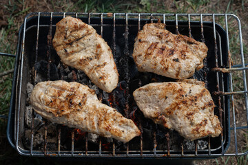 steak, grilled, weekend activities, barbecue - meal, homemade, grill, food, freshness, meat, outdoor, cooking, rustic, lifestyle, picnic, healthy eating, flame, meal, dinner, grass