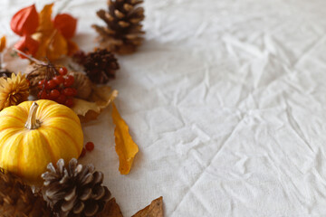 Thanksgiving background. Pumpkins, fall leaves and flowers, berries and pine cones on linen cloth, flat lay with space for text. Autumn banner. Fall harvest
