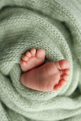 The tiny foot of a newborn. Soft feet of a newborn in a olive green woolen blanket. Close up of toes, heels and feet of a newborn baby. Studio Macro photography. Woman's happiness.