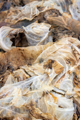 Rotten cabbage. The cabbage deteriorated after it was frozen in the field by the first frosts