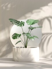A modern round ceramic pot for houseplants. The design is minimalist and contemporary, suitable for indoor decor in a light-filled space.