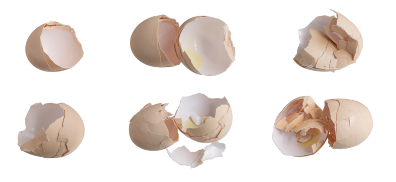 cracked hen eggshell on white background