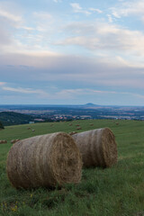 hay bales in the field © Elena