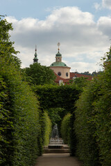 path leanding through the garden