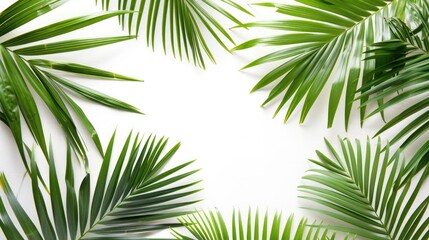 Obraz premium Tropical palm tree leaves on white background top view