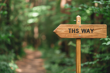 Wooden arrow sign with text 'this way' in forest nature outdoors. Copy space, trail direction guide for travelers, scenic route pathway, outdoor exploration and tourism, forest hik
