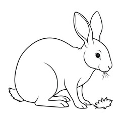 Hare eating food in a grassy field