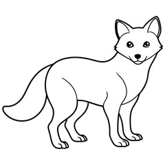 Arctic fox standing on snowy landscape