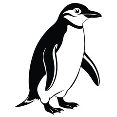 Chinstrap penguin standing on ice sheet