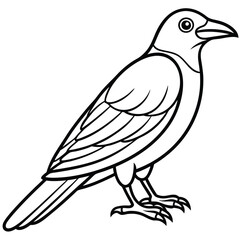 Fototapeta premium Chough bird sitting in vector icon