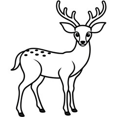 Fototapeta premium Deer illustration in vector graphic format