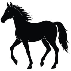 Horse silhouette on white background