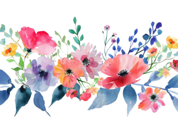 Colorful watercolor illustration of summer garden flowers isolated on transparent background
