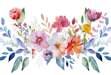 Colorful watercolor illustration of summer garden flowers isolated on transparent background