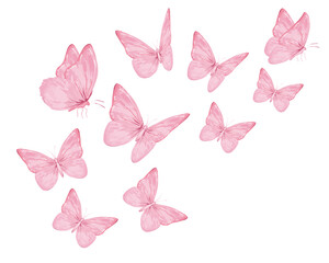pink watercolor and butterflies illsutration	