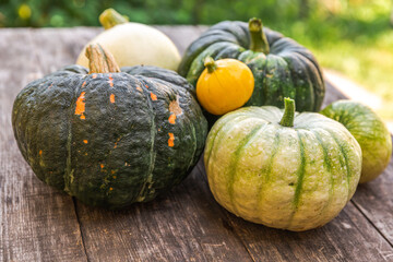 Autumnal Background. Natural autumn fall view pumpkins on wooden background. Inspirational october...