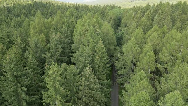 Large mountains green spruce forest aerial view, Brdy mountains aerial drone view, Rochota area, CZechia