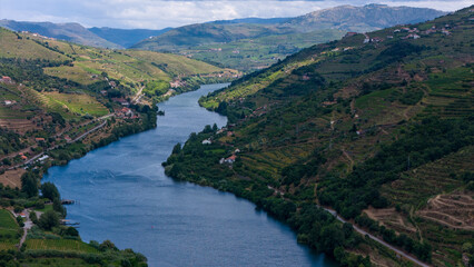 Naklejka premium View of terraced vineyards in the Douro River Valley, Portugal. Portugal travel concept and the most beautiful places in Portugal
