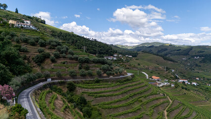 View of terraced vineyards in the Douro River Valley, Portugal. Portugal travel concept and the...