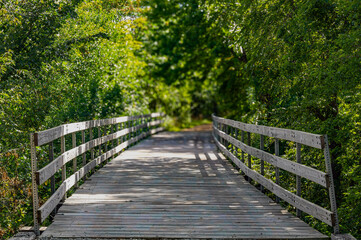 Wooden Bridge Pathway Through Lush Green Forest