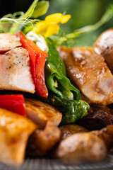 Grilled Chicken with Roasted Potatoes and Herb Salad on Elegant Plate