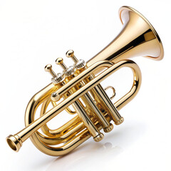 bugle musical instrument with a white background 