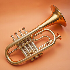 bugle musical instrument with a white background 