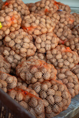 Nets with collected walnuts, cultivation of AOP walnuts in Perigord, Dordogne, France