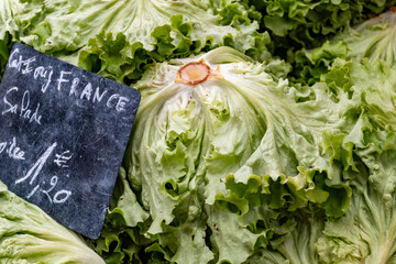 Fresh piece of green salad on outdoor market with seasonal local vegetables and fruits