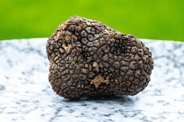 Italian black summer truffle, tasty aromatic mushroom, close up