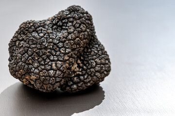 Italian black summer truffle, tasty aromatic mushroom, close up