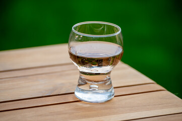 Brut apple cider from Betuwe, Gelderland, in glass, apple cider production in Netherlands
