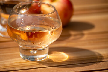 Brut apple cider from Betuwe, Gelderland, in glass, apple cider production in Netherlands