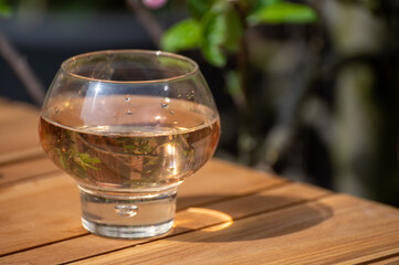 Brut apple cider from Betuwe, Gelderland, in glass, apple cider production in Netherlands