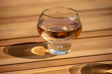 Brut apple cider from Betuwe, Gelderland, in glass, apple cider production in Netherlands