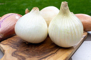 White sweet doux french salad and purple shallots onions vegetables on food market close up