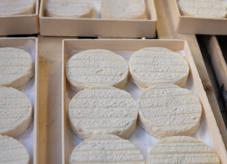 Rocamadour or cabecous soft goat AOC cheese with soft rind produced on farm in Perigord and Quercy on farmers market, departement Lot, France