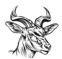 Hand drawn sketch style lesser kudu antelope isolated on white background. Vector illustration. © BigJoy