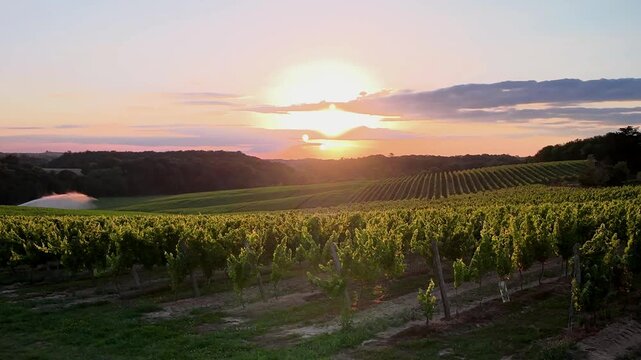 Horizontal sur les vignes