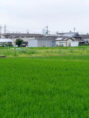 町工場と田園風景