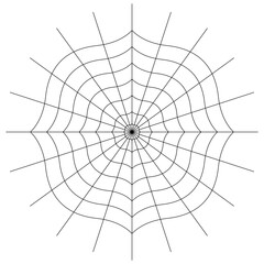 halloween spooky illustration with spider web