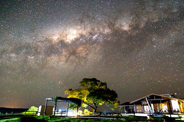 lacteal pathway in the field