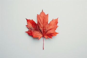 Vibrant red maple leaf isolated on a white background, epitomizing the beauty of autumn foliage.